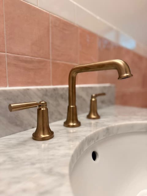 The Long Bathroom Remodel — Oxford, MS